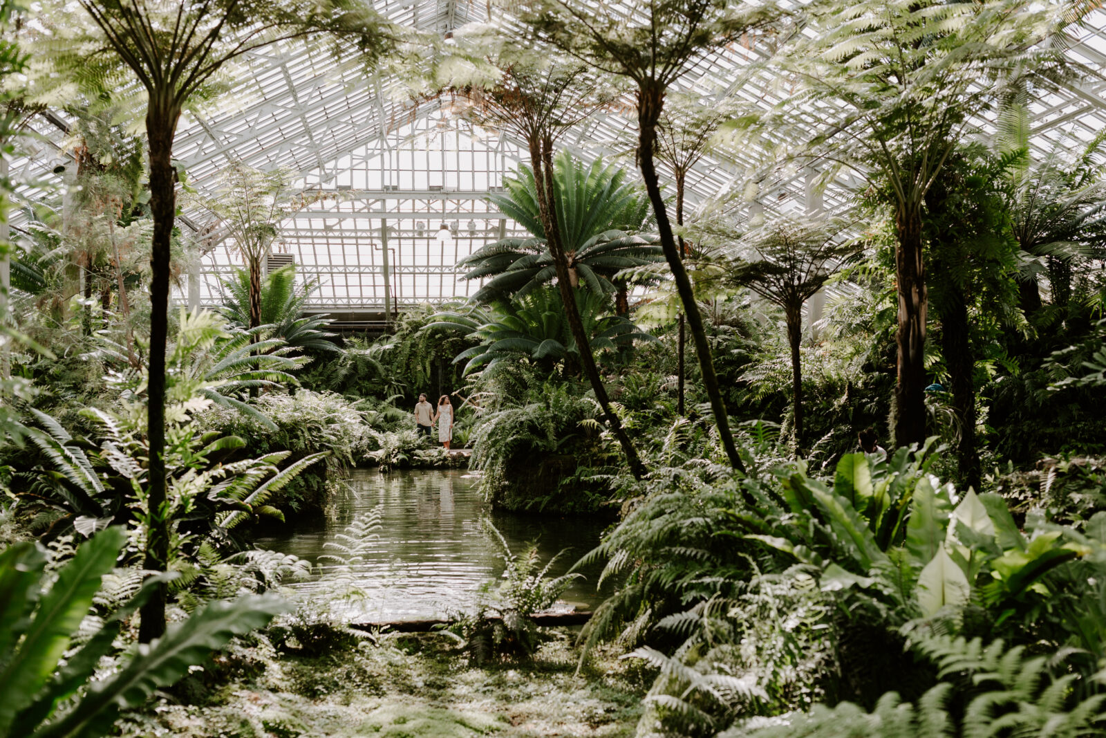 Bride and Groom standing in the distance inside the fern room of the Garfield Park Conservatory.
